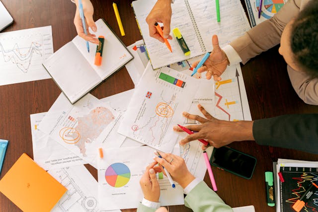 data analytics project with professionals